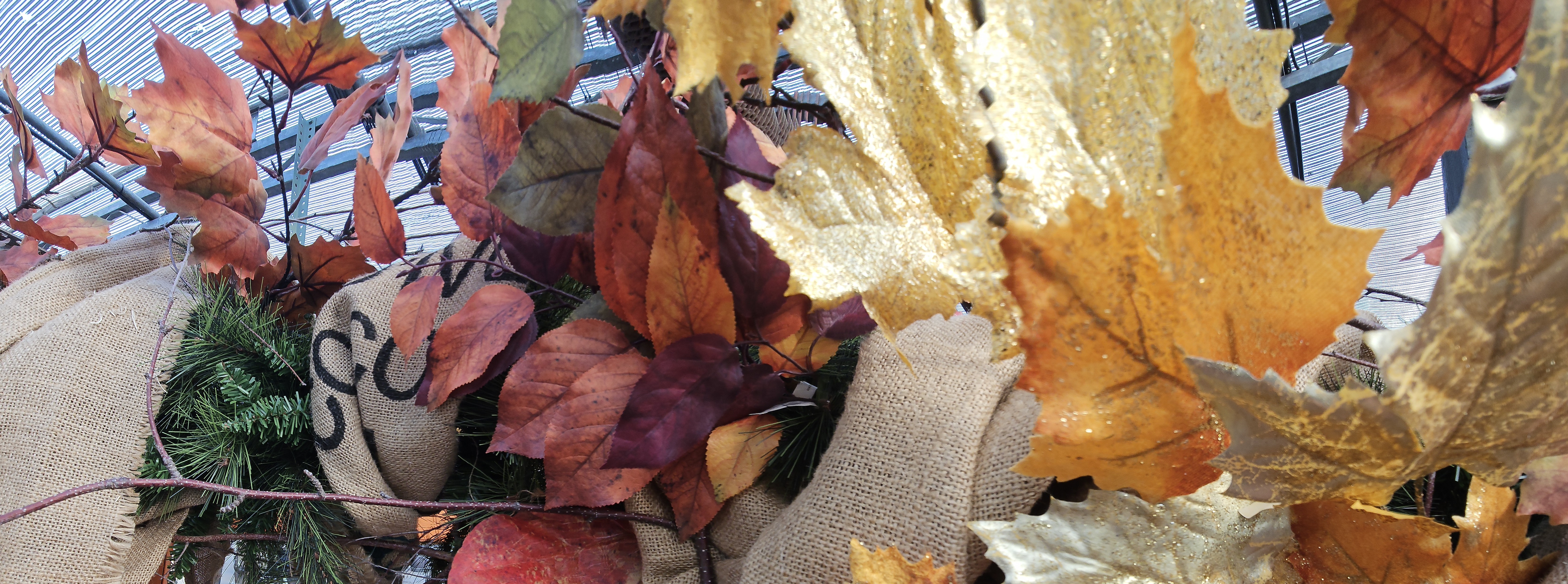 Fall