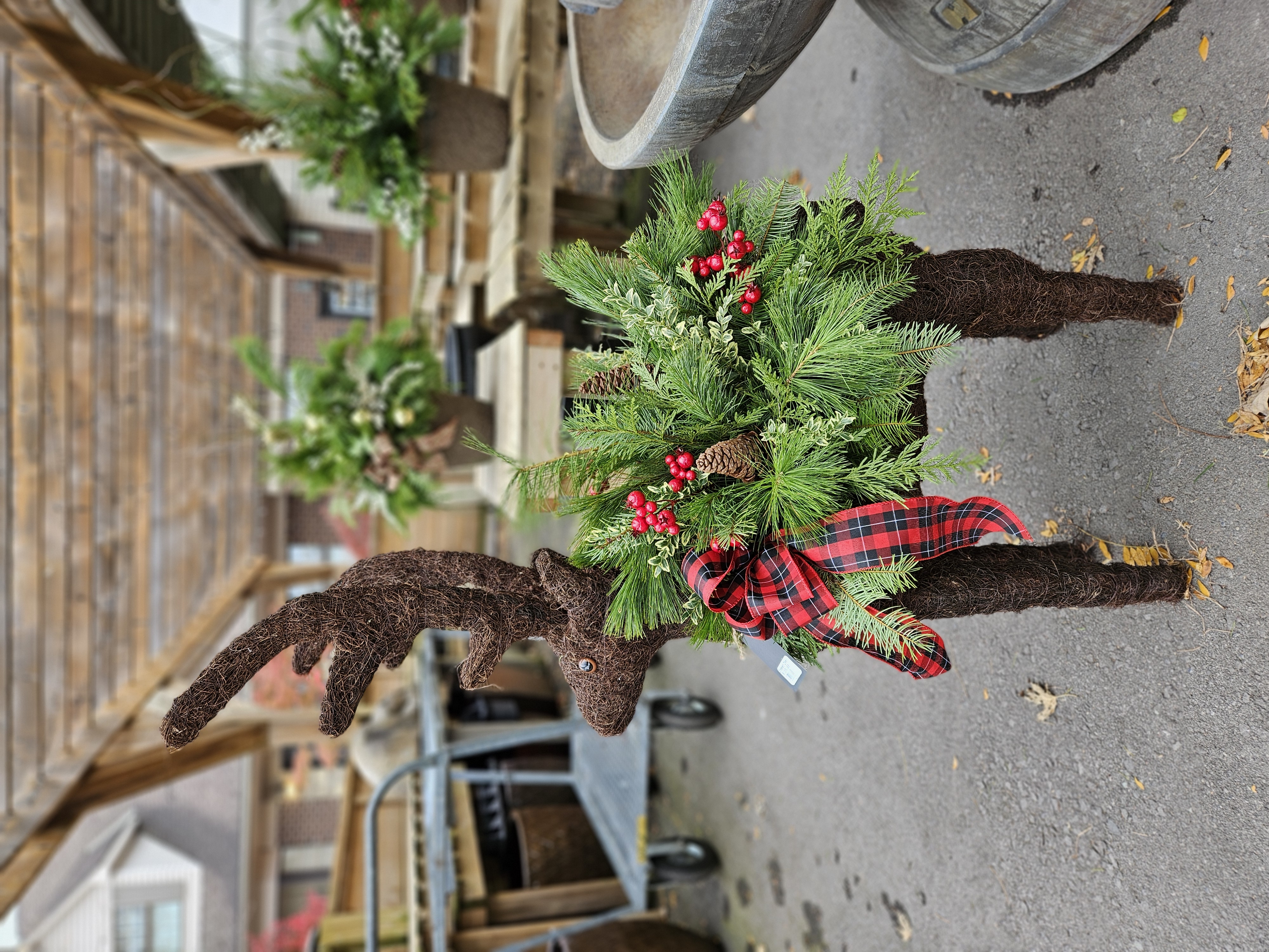 Holiday Deer Arrangement