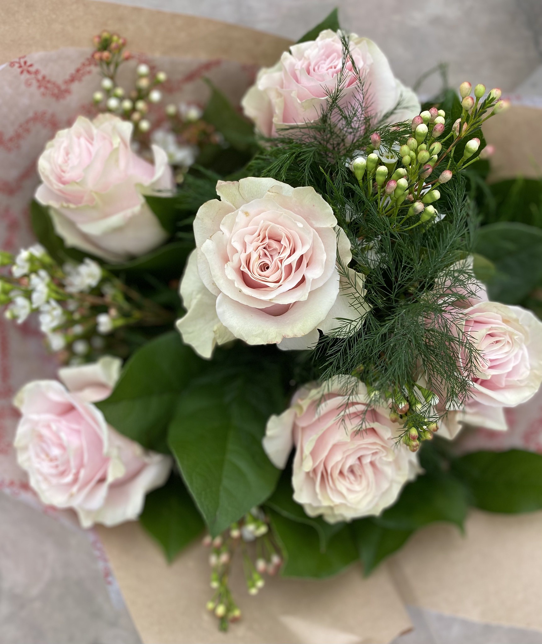 Half Dozen Roses 