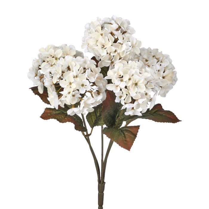 17' Mini Autumn Hydrangea Bush