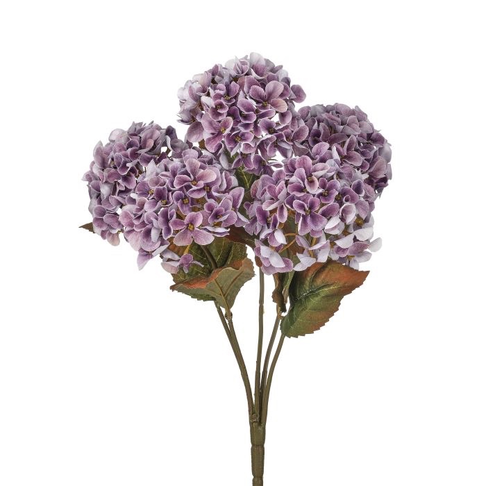 17' Mini Autumn Hydrangea Bush
