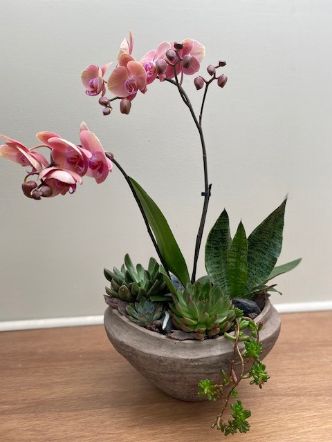 Orchid Garden Bowl