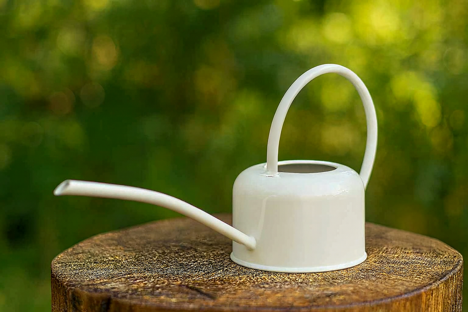 1.1L Galvanized watering can